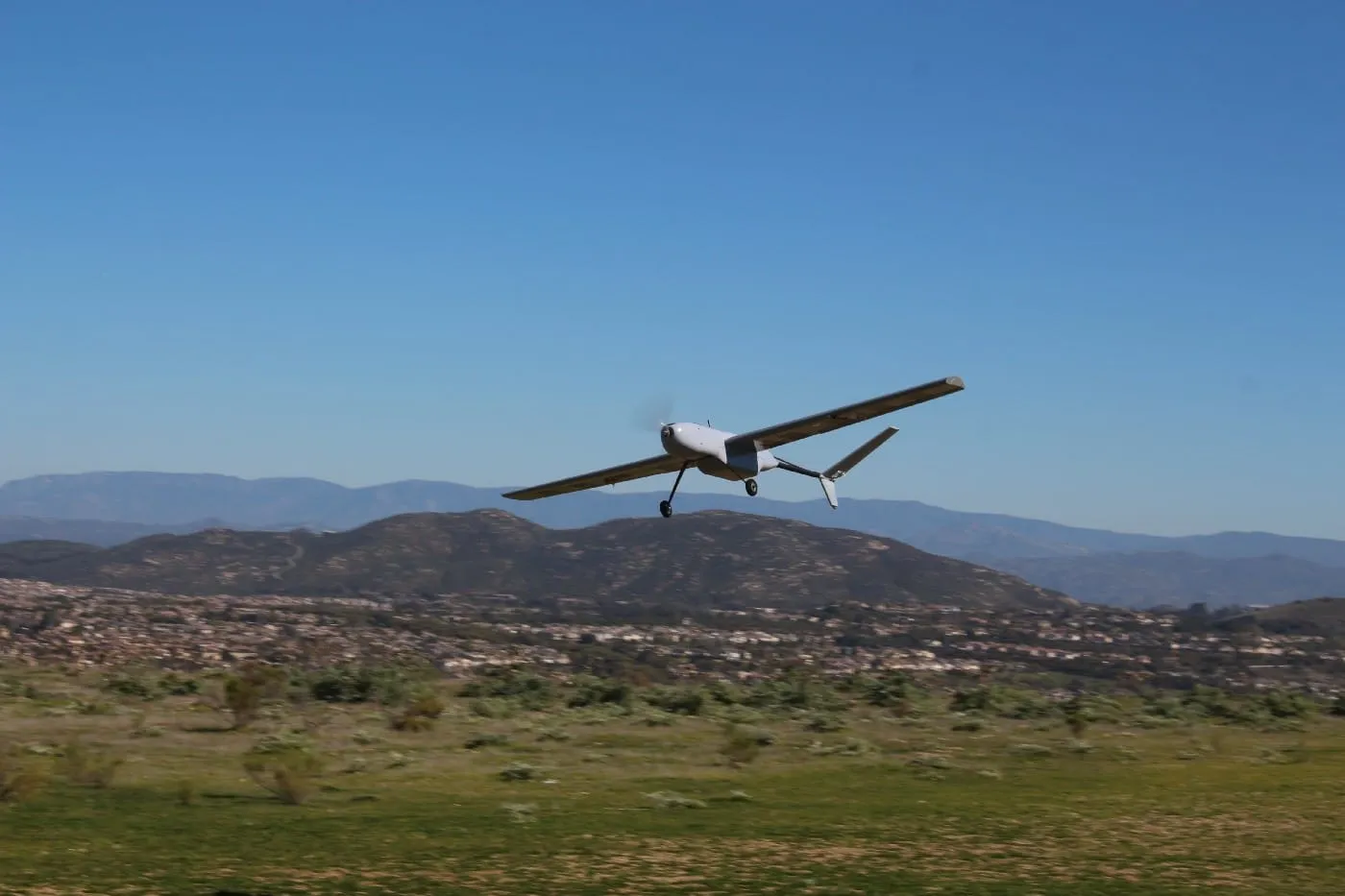 Swallow Maiden Flight