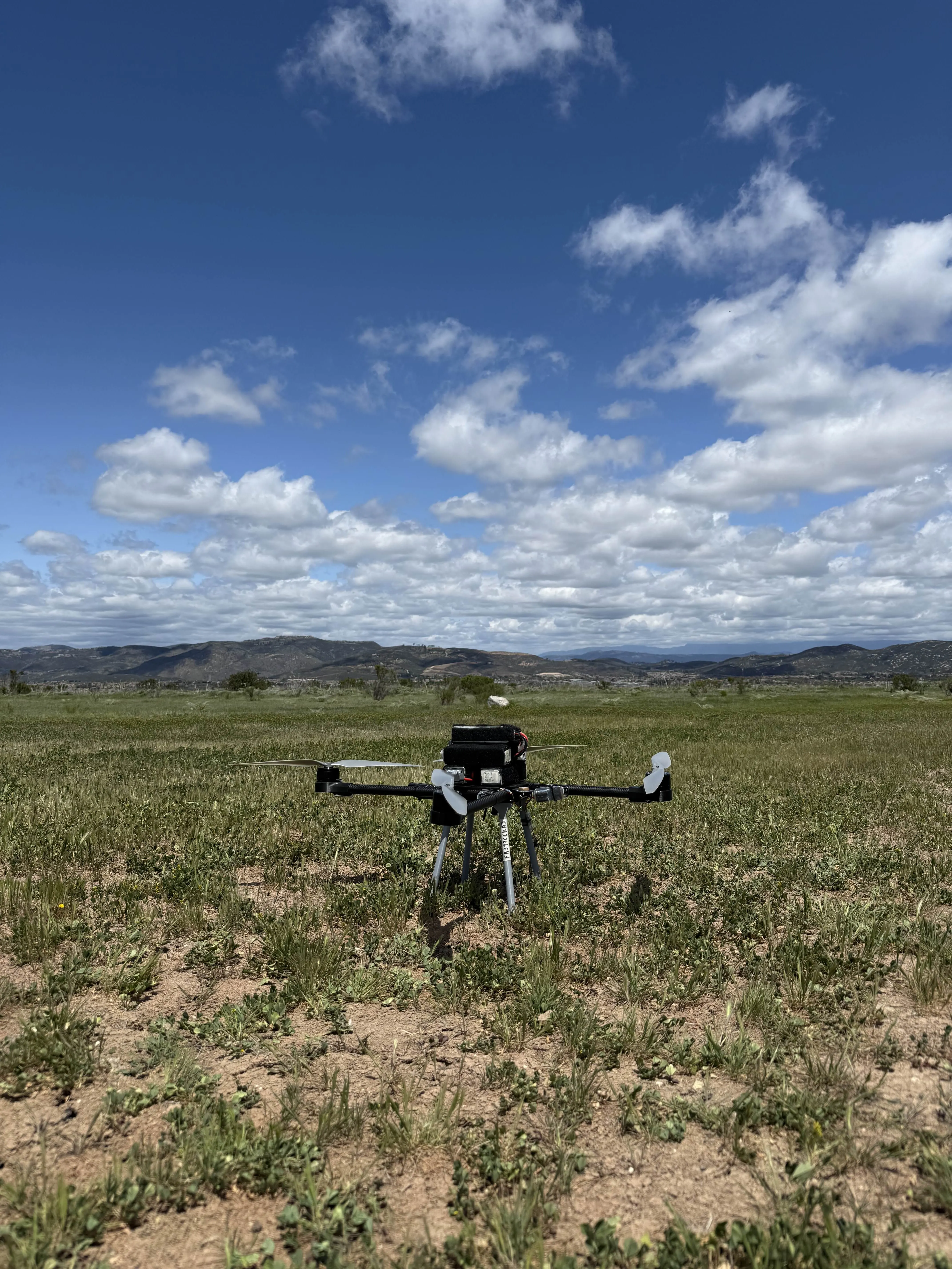 The Bear Trap (2024-2025)